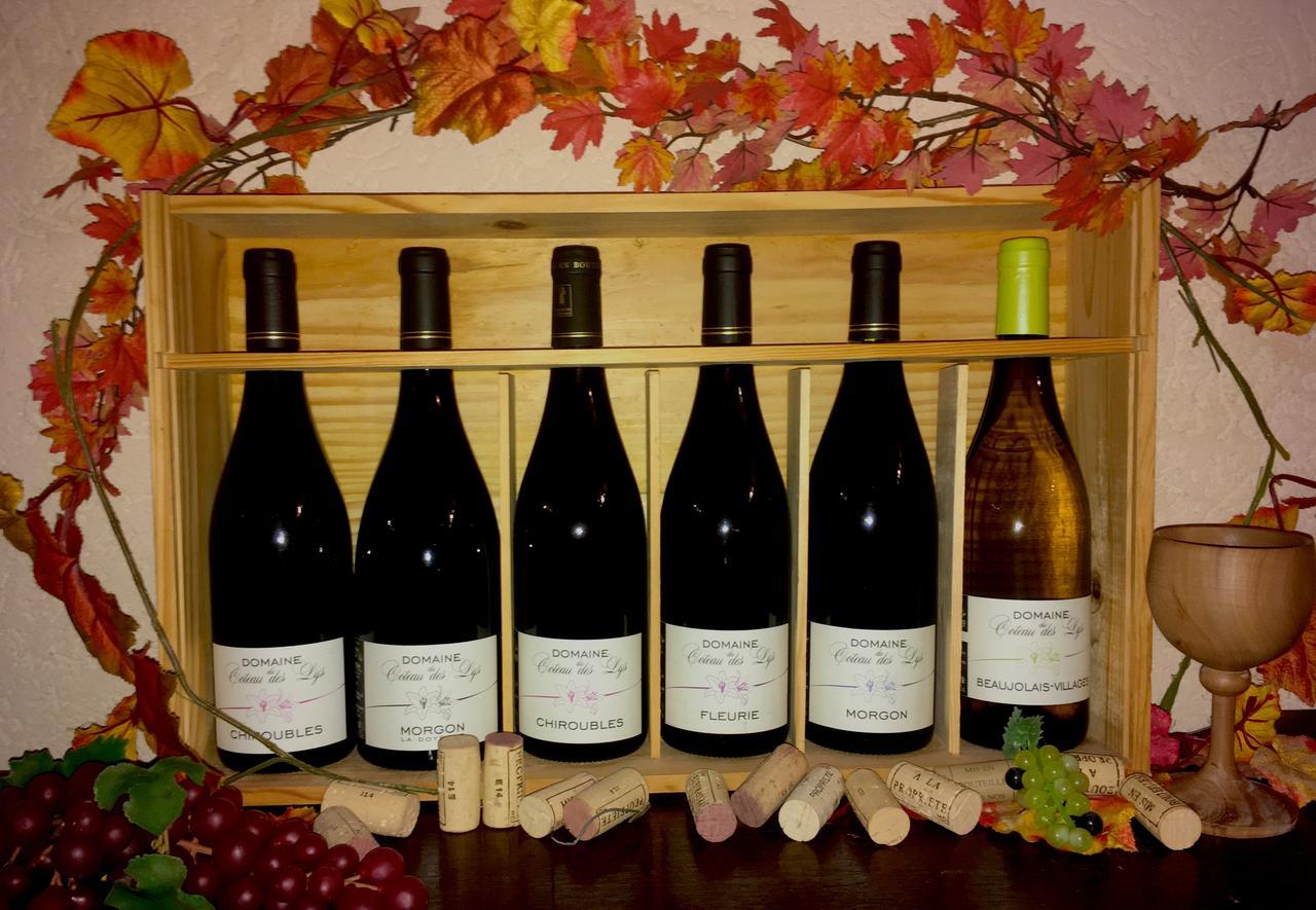 Domaine Du Coteau Des Lys Hotel Fleurie Bagian luar foto