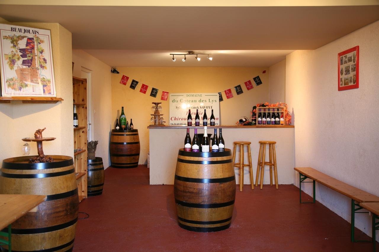 Domaine Du Coteau Des Lys Hotel Fleurie Bagian luar foto