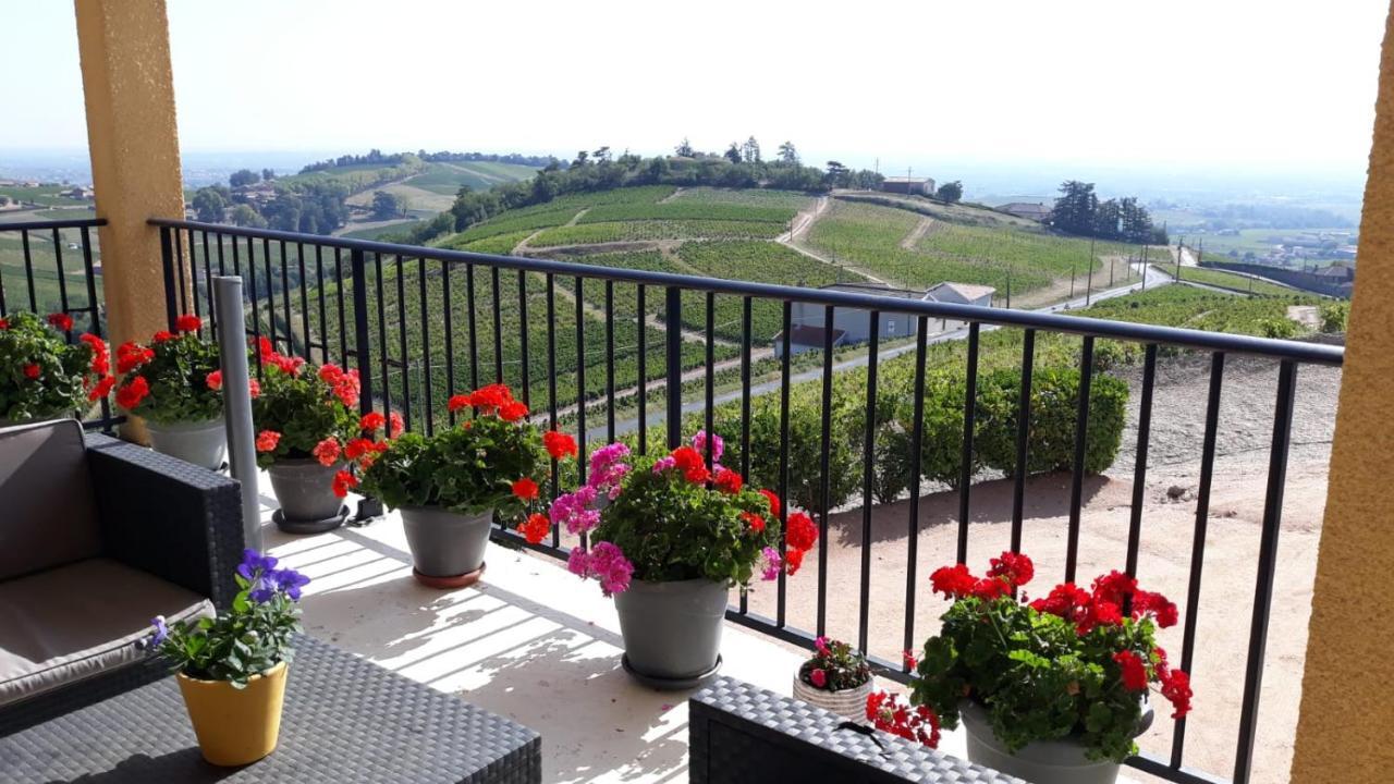 Domaine Du Coteau Des Lys Hotel Fleurie Bagian luar foto